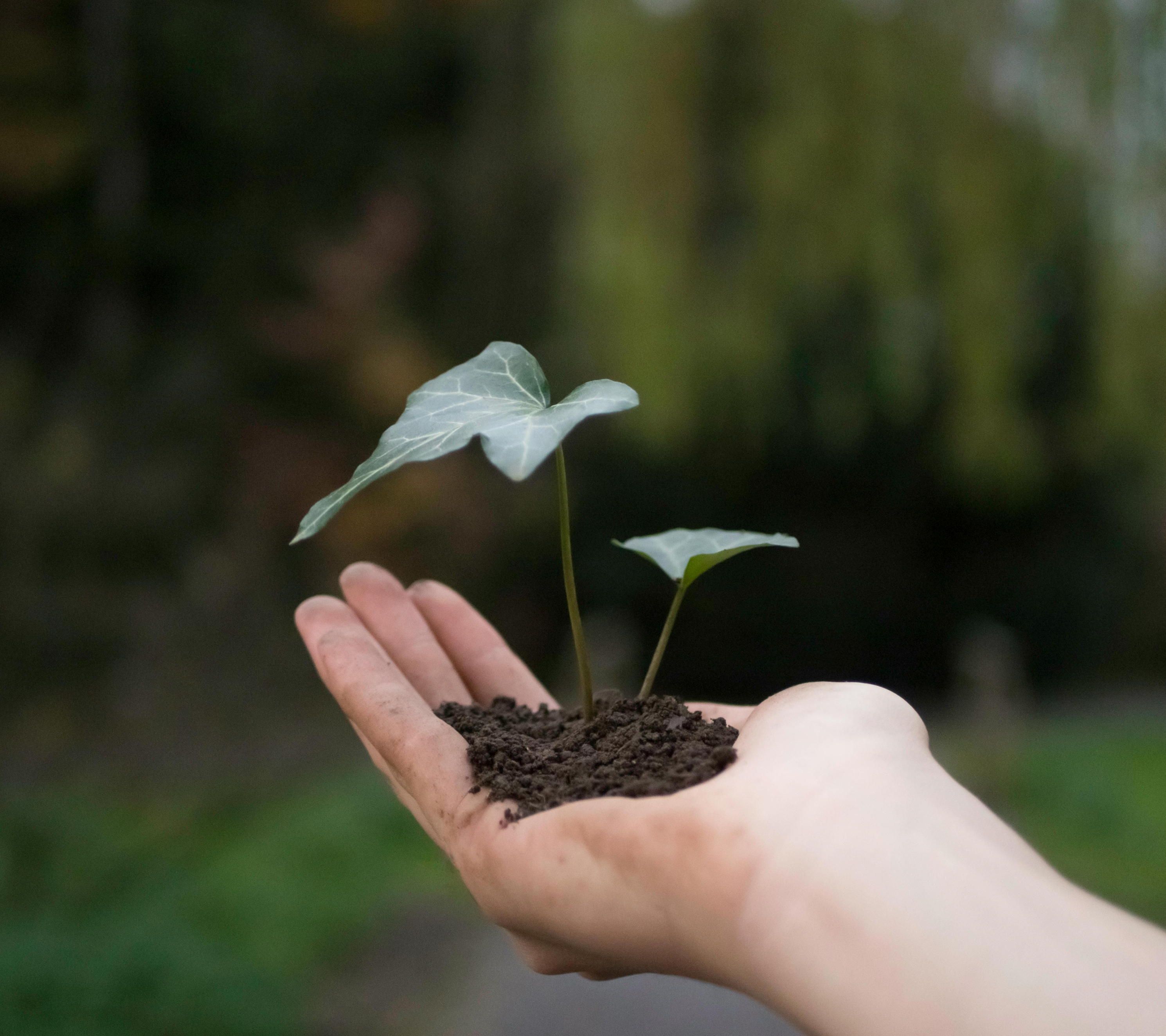 Impact & Sustainability